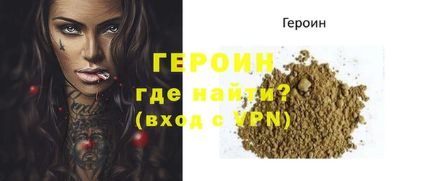 крисы Бородино