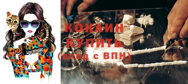 бошки Богородицк