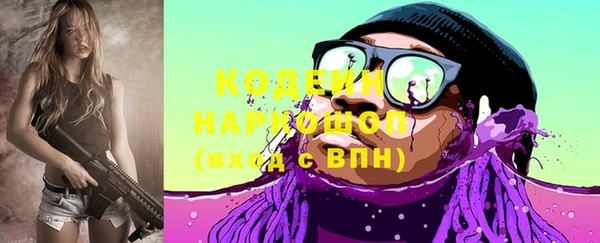 крисы Бородино
