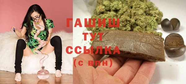 крисы Бородино