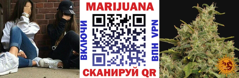 где купить наркоту  Оха  дарк нет формула  Каннабис SATIVA & INDICA 